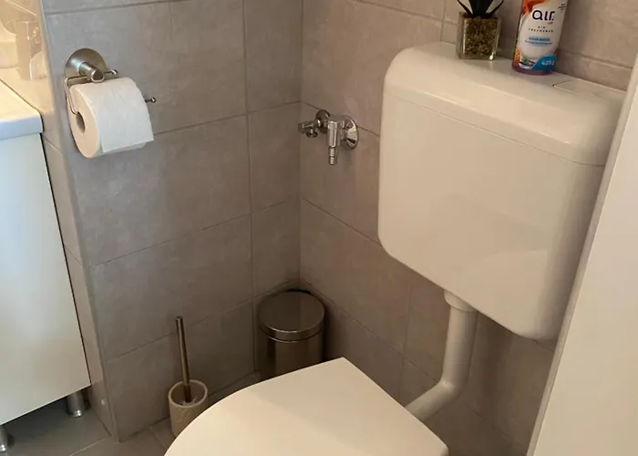 Greta Daire Soltvadkert